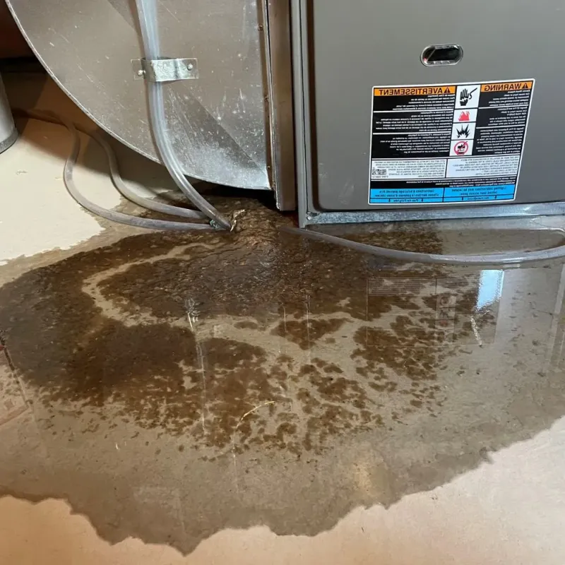 Pipe Burst and Leak Restoration in De Queen, AR