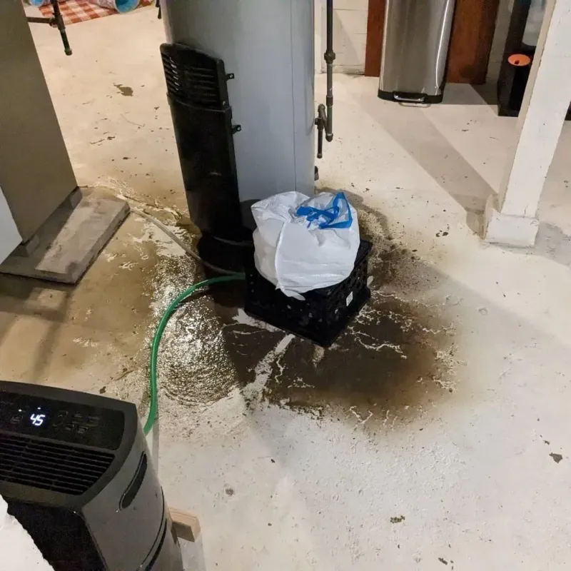 Sewage Backup Cleanup Service in De Queen, AR